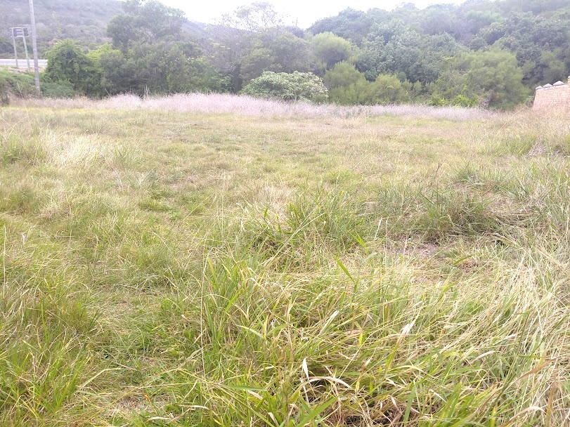 Commercial Property for Sale in Die Eiland Western Cape